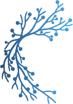 LymphLearn